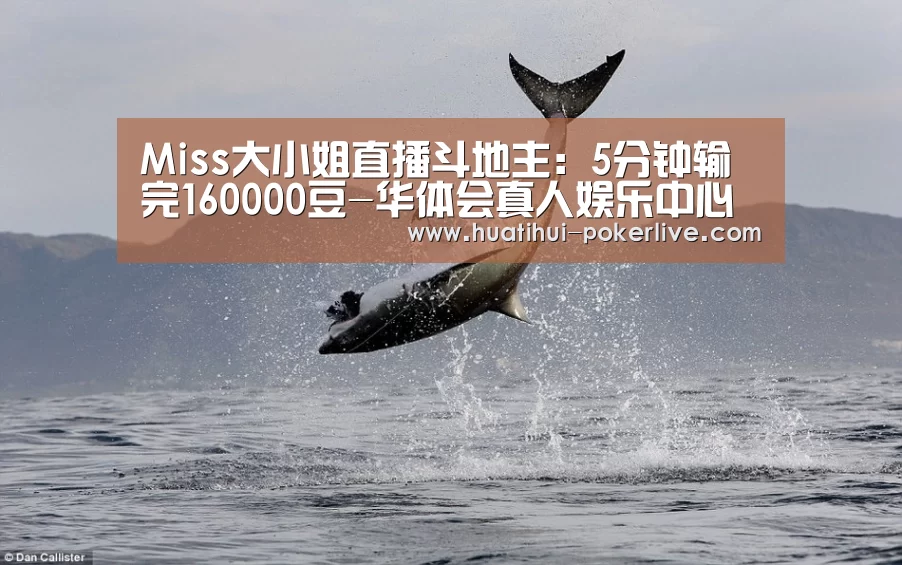 Miss大小姐直播斗地主:5分钟输完160000豆-华体会真人娱乐中心(图3) 华体会真人娱乐中心