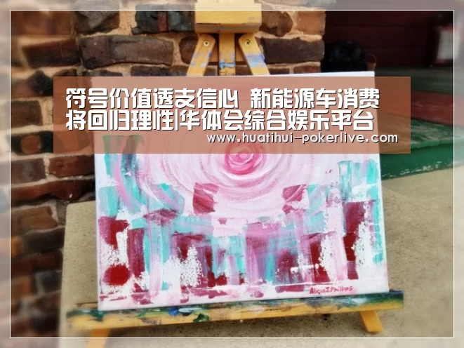 符号价值透支信心 新能源车消费将回归理性|华体会综合娱乐平台(图4) 华体会综合娱乐平台