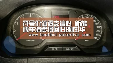 符号价值透支信心 新能源车消费将回归理性|华体会综合娱乐平台(图2) 华体会电子游艺