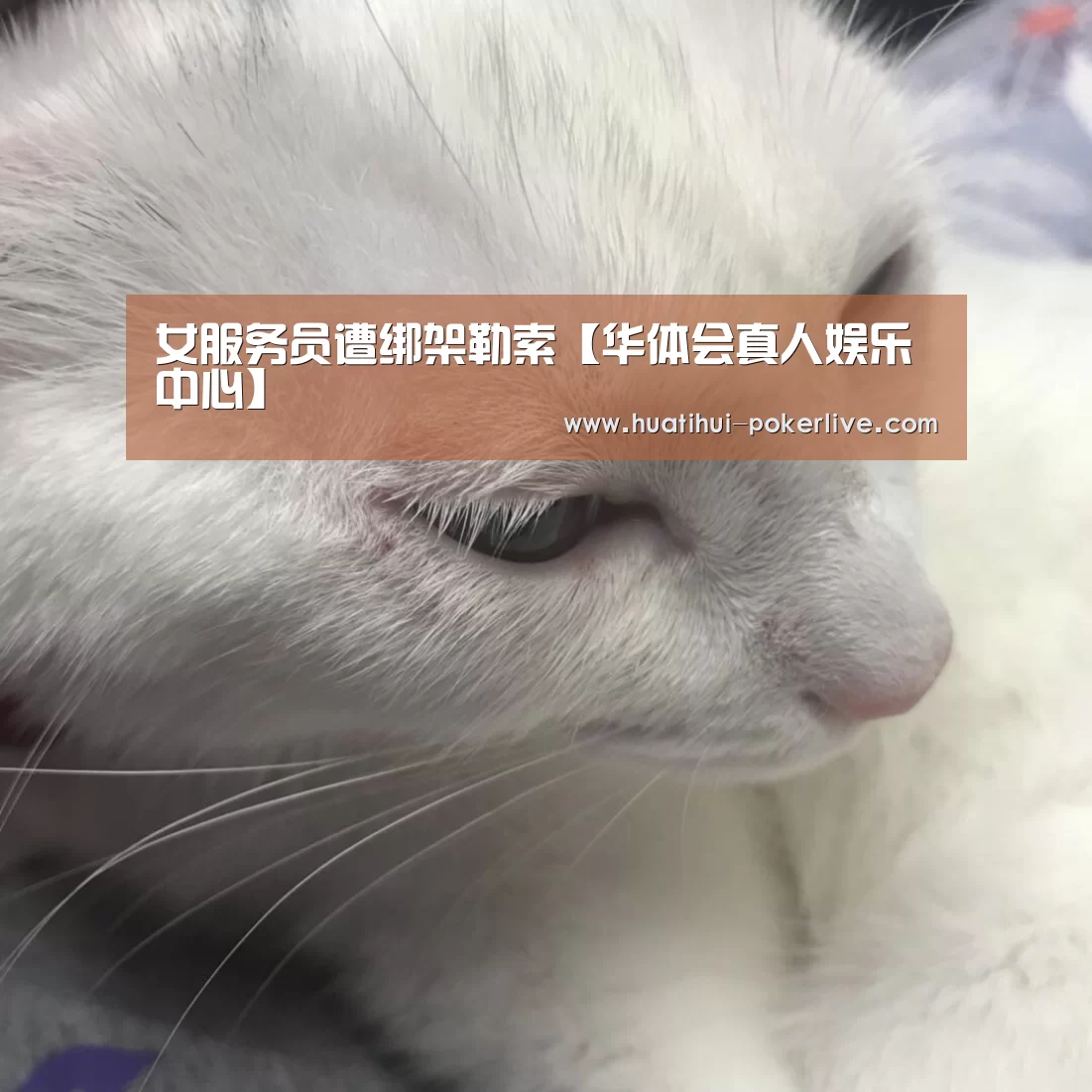 女服务员遭绑架勒索【华体会真人娱乐中心】(图2) 华体会综合娱乐平台